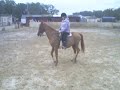 Piper And I Dressage Backwards Walk