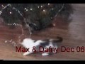 Max & Dafny