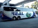 REAL 26501