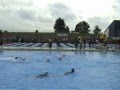 Wasserball in Bremen 1