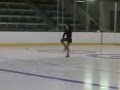 Adventures in Figureskating