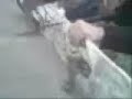 cortando la tabla de juli
