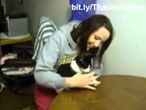 YouTube Трейлер