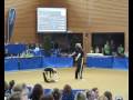 Acrogym Cup Albershausen 2009 MP  senior Great Britain balance