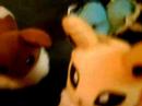 eeveelutions interview