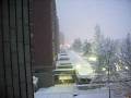neve neve