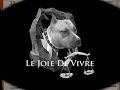 VERMIST..ZWARTE ENGELSE STAFFORD VERMIST..ZWARTE ENGELSE STAFFORD