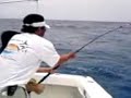 Pesca Cozumel Parte 1 Pesca Cozumel Parte 1