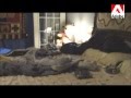 Bedtime for Pugs