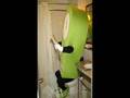 videos de the best mascots ever (funny, cool wierd and others)