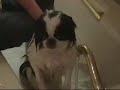 Washing Ichiro Washing Ichiro