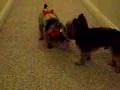 Lacy and Rylie Playing