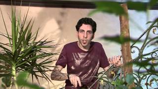 الحلقة 12 (الابتسامة والتفائل والإيجابية)