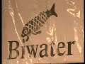 Troubled Waters - South Africa