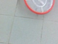 La bestia nei bagni del Marina di Rossano