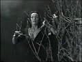 vampira 2 vampira 2