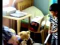 videos de Child Labor (slight)