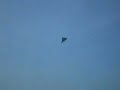 Trick Kite