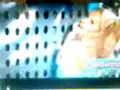 lucha libre AAA