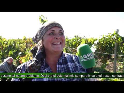 17. 10. 2018 Știri AgroTV