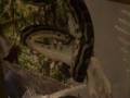 Monty my python
