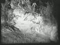 Volumen - Snakes