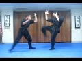 FREE Nintaijutsu for youtube #006