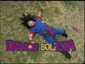 Dragonbollzota
