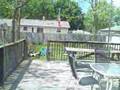 For Sale: 2666 Lincoln Avenue, St. Joseph, MI 49085
