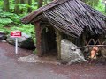 The Enchanted Forest BC Canada