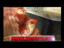PROMO - NOVIEMBRE NUCLEAR 2007 - LXN
