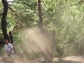 E-maxx