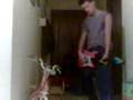 videos de raul tocando majareta