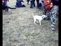 videos de Free sobota v Praze