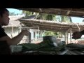 videos de Lobo victory getaway 04 - Late lunch