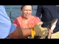 Carol Shark fishing