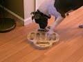 Athena doing dog puzzle Athena doing dog puzzle