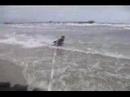 Aquaboard de TROLLER