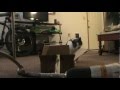 My cat rides in a box