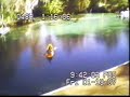 swimming with manatees swimming with manatees
