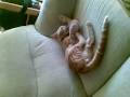 videos de 26112008