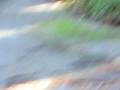 videos de Brandan and Joseph having fun on a big wheel