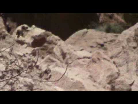 taghya - 