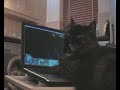 Ams on Laptop
