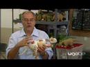 Pleo - Behind The Scenes 5