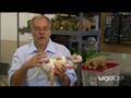 Pleo - Behind The Scenes 5