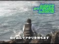 伊豆大島でカゴ釣りでシマアジを狙います。簡単、シンプルな釣り方ですが、確実にターゲットを仕留められる有効な方法のご紹介。コマセを用意してスタート。まずはメジナがヒットしました。