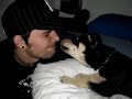 かわいい犬動画