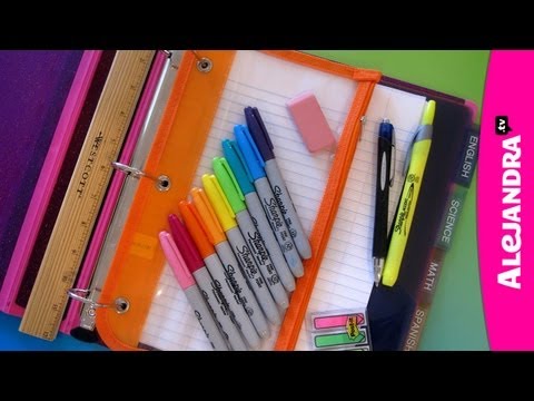 Organization - Watch My Private Organizing Videos Here - http://www.howtoorganize.tv/7-day-get-organized-video-course-yt/# Where To Get These Binders - http://www.alejandra...