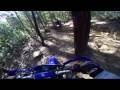 Watagans ride 28/3/09 late afternoon run